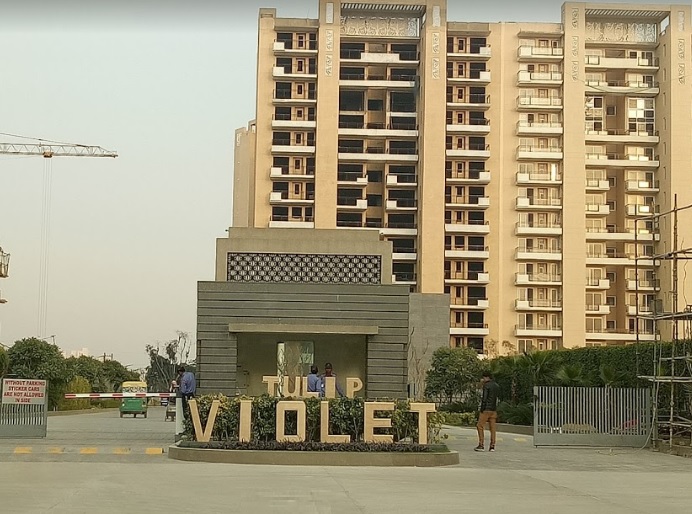 Apartment Sale Tulip Violet Sector 69 Gurgaon